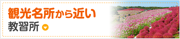 観光名所から近い教習所